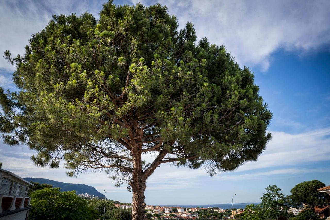 الشقق الفندقية نومانافي  Balconi Del Conero المظهر الخارجي الصورة
